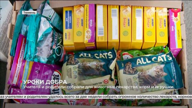 Открытый урок с участием волонтёров и животных | Тюмень