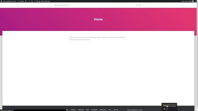 How to Translate WordPress Websites in 2023