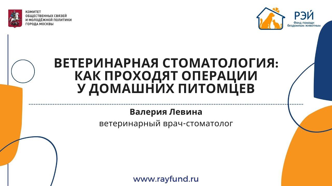 Ветеринарная стоматология: как проходят операции у домашних питомцев