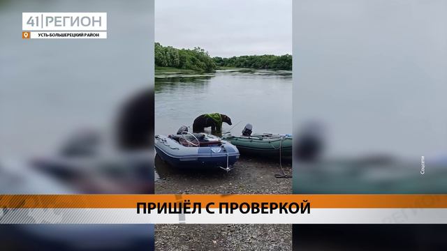 МЕДВЕДЬ ВЫШЕЛ К РЫБАКАМ В УСТЬ-БОЛЬШЕРЕЦКОМ РАЙОНЕ • НОВОСТИ КАМЧАТКИ