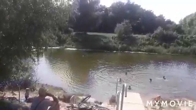 #влог#рекаШостка# Мариную огурцы/А что там на реке?/