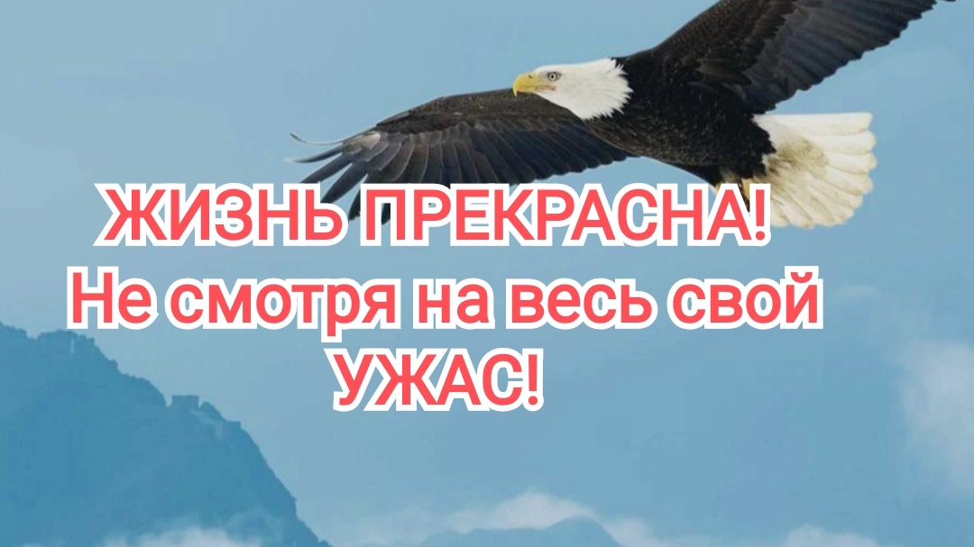 "ЖИЗНЬ ПРЕКРАСНА НЕ СМОТРЯ НА ВЕСЬ СВОЙ УЖАС!" | ГолосСИБИРИ | #УтросБИБЛИЕЙ ИгорьКОСТРОВОЙ