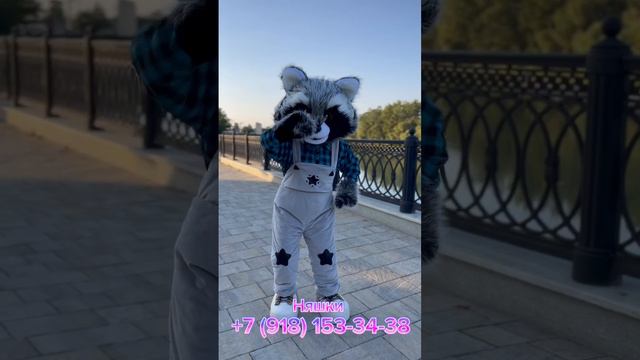 Зажигательный крошка енот 🦝