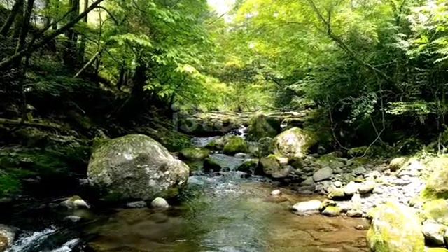 🔥🔥Медитация "Исцеление разума и открытие чистого сознания"