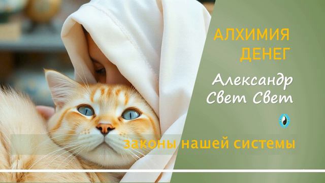 законы нашей системы