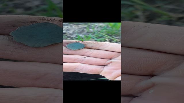 Волжская Булгария