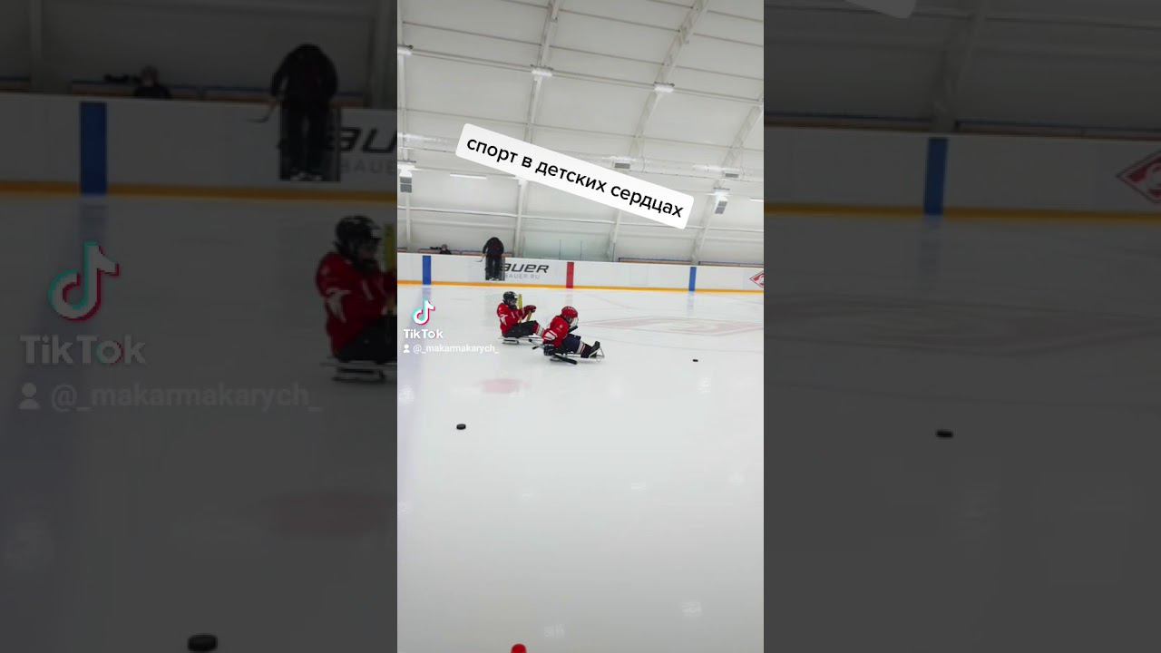 дети с ограниченными физическими возможностями играют в хоккей.