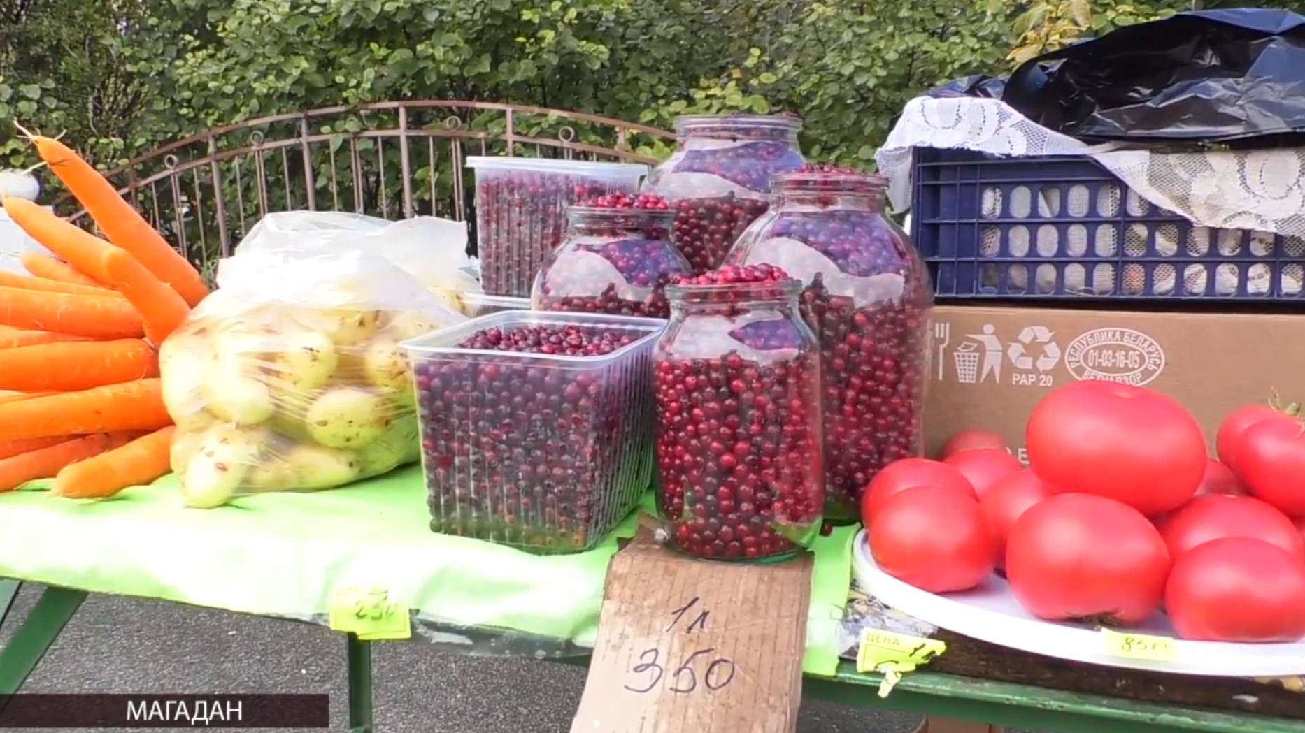 В Магадане продолжается сезон грибов и ягод