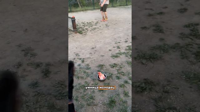 Больше видео в моём профиле 🧡