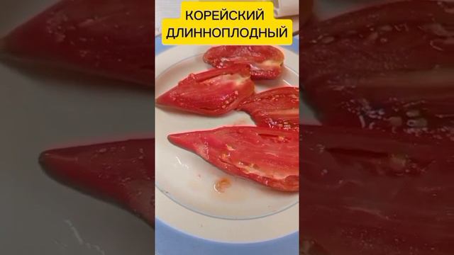 ЛУЧШИЕ СОРТА ТОМАТОВ ДЛЯ ВЯЛЕНИЯ И КОНСЕРВАЦИИ 👍👍👍!!!