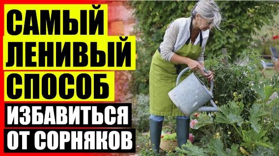 ❕ КИСТЕКОРНЕВЫЕ СОРНЯКИ МЕРЫ БОРЬБЫ ☑ ОТ СОРНЯКОВ АГРО ПЛЮС