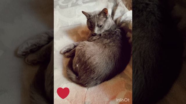 мои любимки💕💕💕