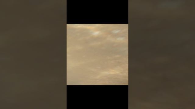 телефон не сломался