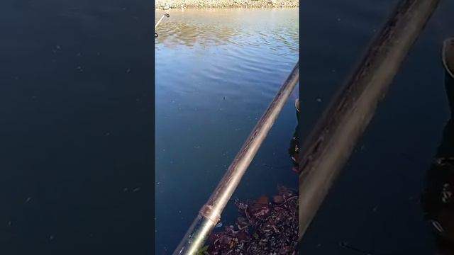 Fishing. рыбалка.mp4