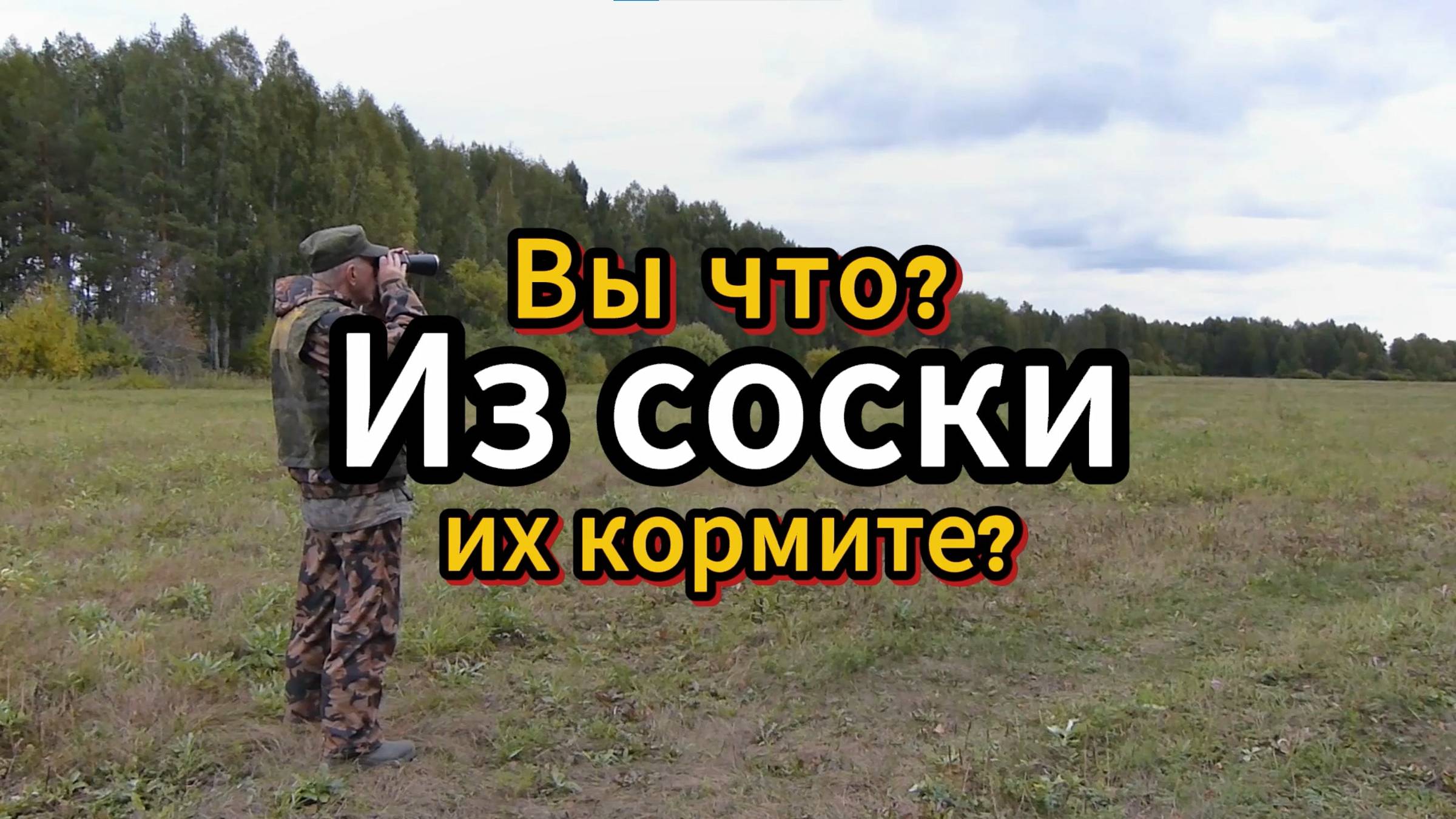 Вы что из соски их кормите?