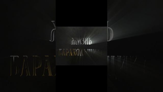 Жизнь Барахольщика