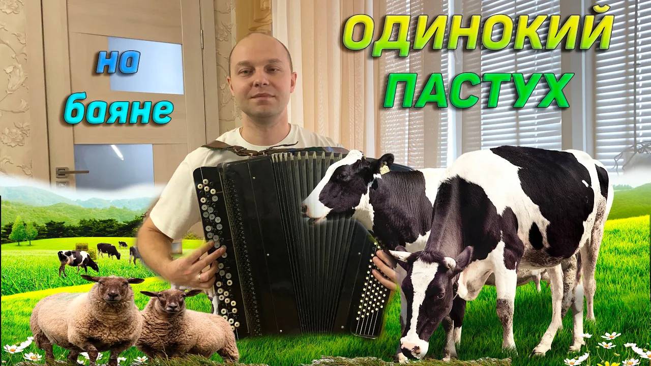 Одинокий пастух на баяне!