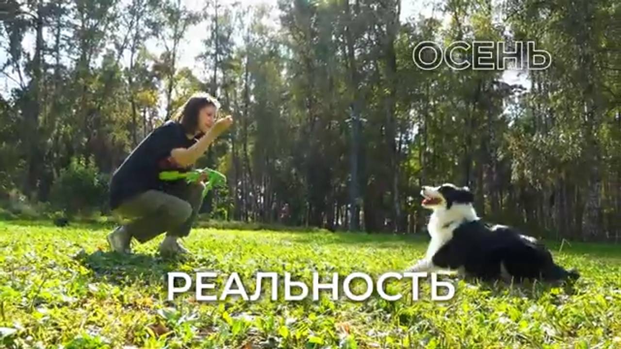 Осень. Ожидание и реальность