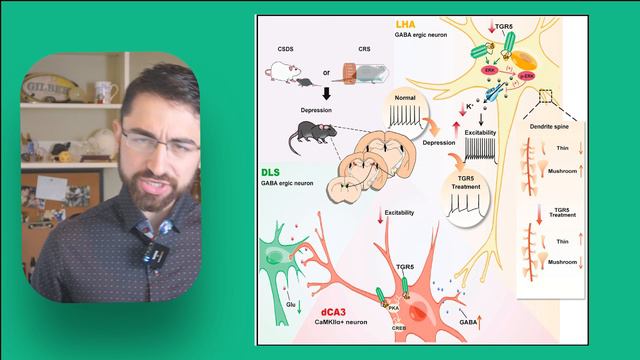 Как диета может лечить депрессию: метаболическое чудо желчных кислот (Ник Норвиц)