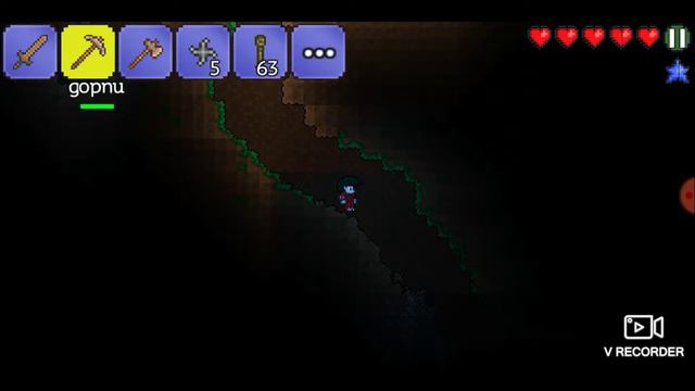 Terraria онлайн