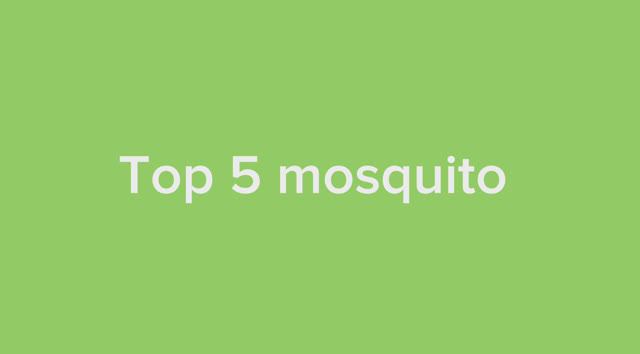 Top 5 mosquito