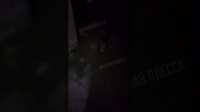 🐽Хохлушка из Одесской области провалилась в… говно, пытаясь достать свой телефон.