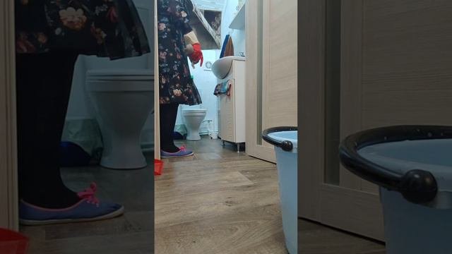 Чистота в доме за 15 минут в день. Зона ванная