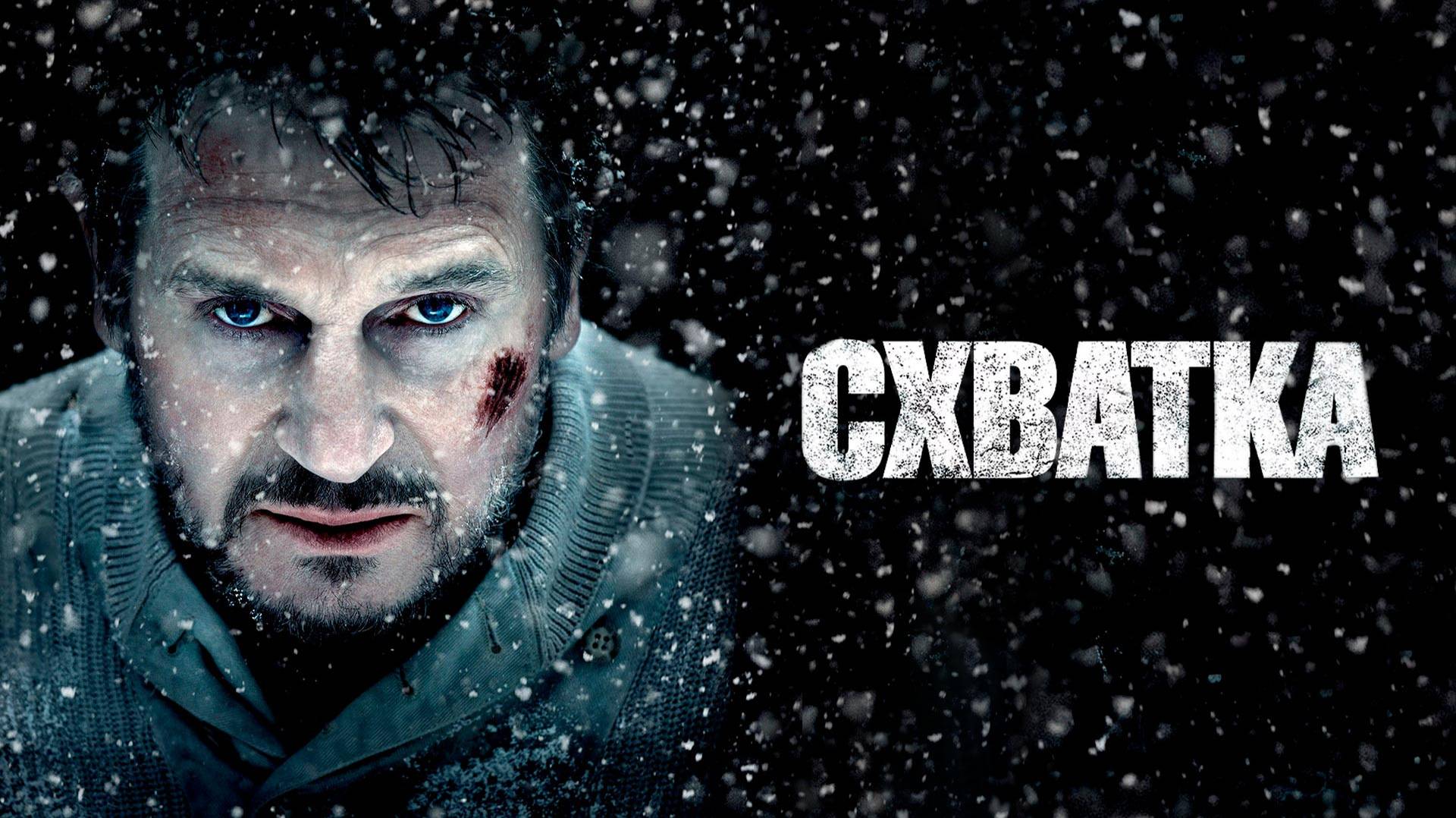 Схватка (2012)