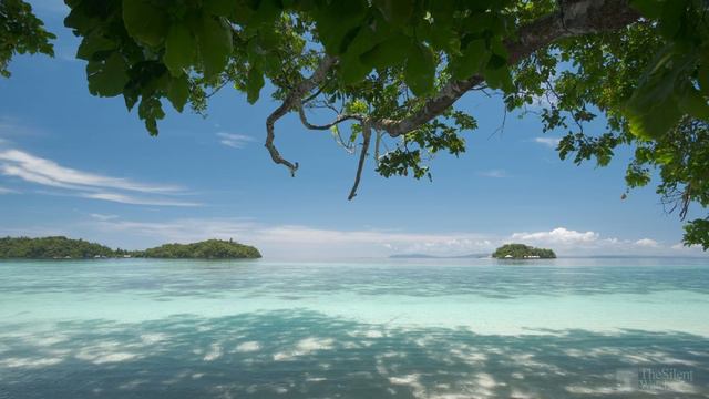 Tropical Beach - Gentle Ocean Wave Sounds - Peaceful Wild Island - Relaxing Nature Video