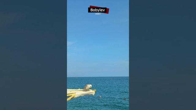 Alushta_ september 2K24