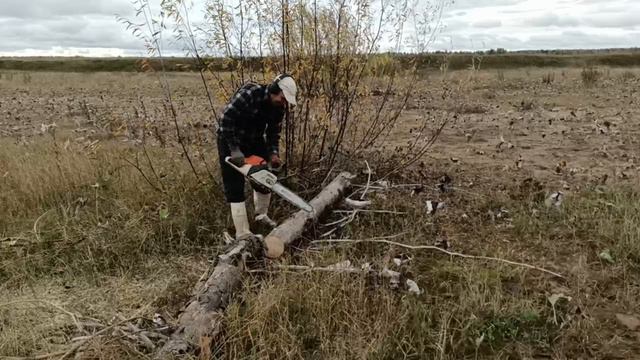 заготовка дрова, разпиловка брёвна бензопилой штиль 250