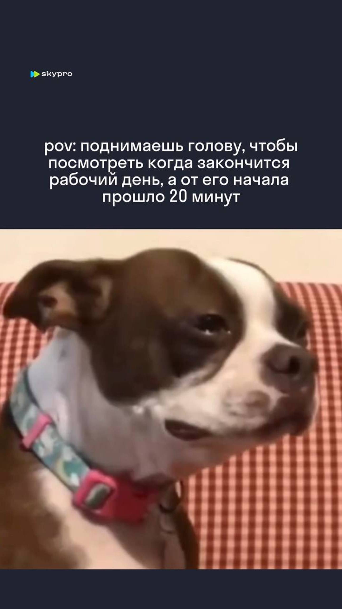 Когда уже домой?