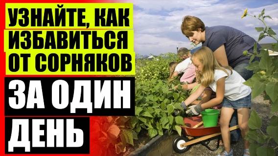 ⛔ ПРОТИВ СОРНЯКОВ НА КЛУБНИКЕ 🔴 МЕРОПРИЯТИЯ ПО БОРЬБЕ С СОРНЯКАМИ