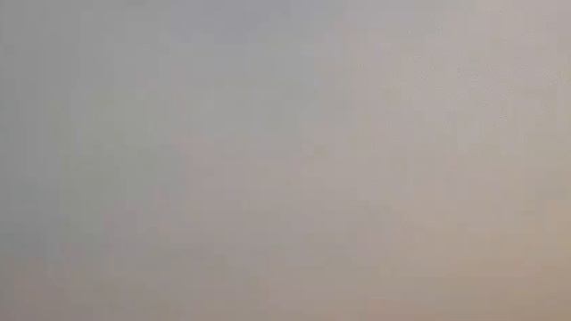 Прилетели за водой