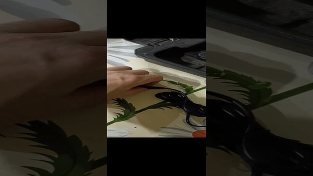 1000004160.mp4