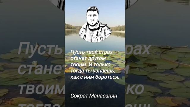 цитаты, афоризмы, стихи ....