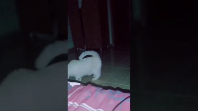 Оскар в студию!)
