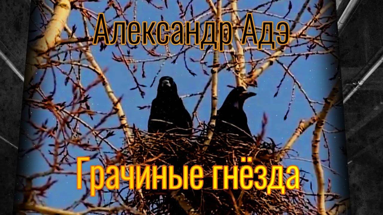 Александр Адэ "Грачиные гнёзда"