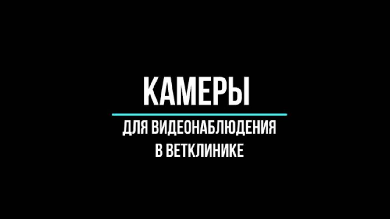 🔥Камеры для видеонаблюдения в ветклинике