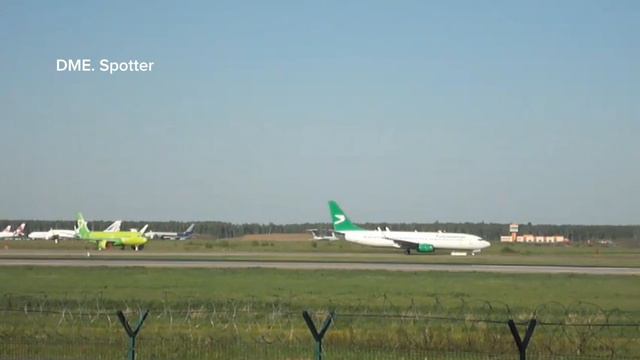 Красавчик с зелёным хвостом Боинг 737-800 Turkmenistan в Домодедово 25.05.24.