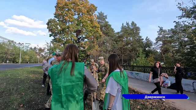 В Дзержинске было высажено более пятисот многолетних растений