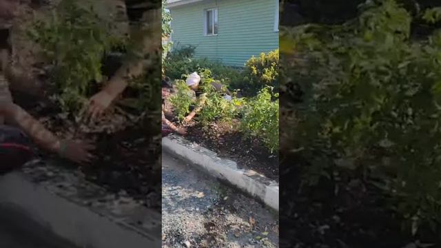 Благоустройство территории приюта