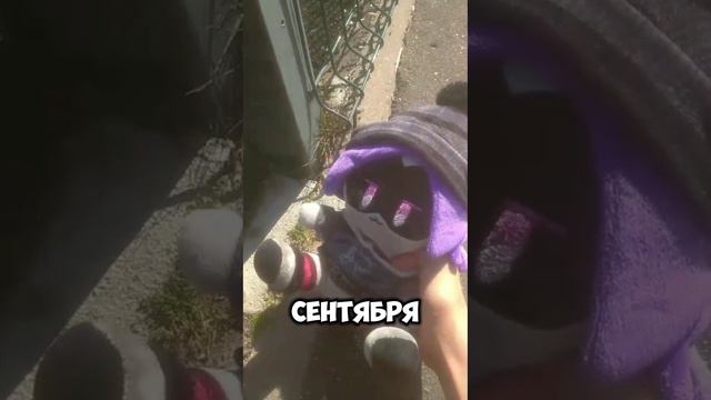 N плохо из за первого сентября