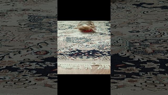 буба и его мяч