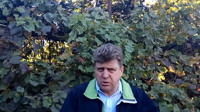 ХРОНИЧЕСКИЕ неприятности