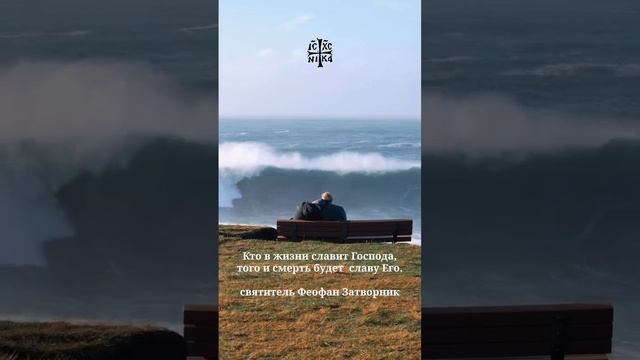 1000010062.mp4