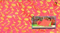 The Most Beautiful Pettubadi "Supernet Fabric and Linen Silk Sarees" || Hello Ladies || Vanitha TV