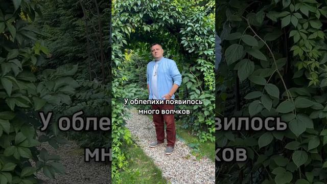 Пока тепло в саду и огороде МОЖНО ВСЕ