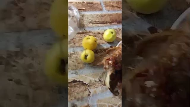 бухой но не пьяный рыбак .