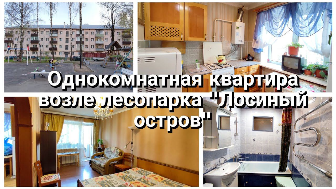 Однокомнатная квартира возле лесопарка "Лосиный остров" г. Мытищи